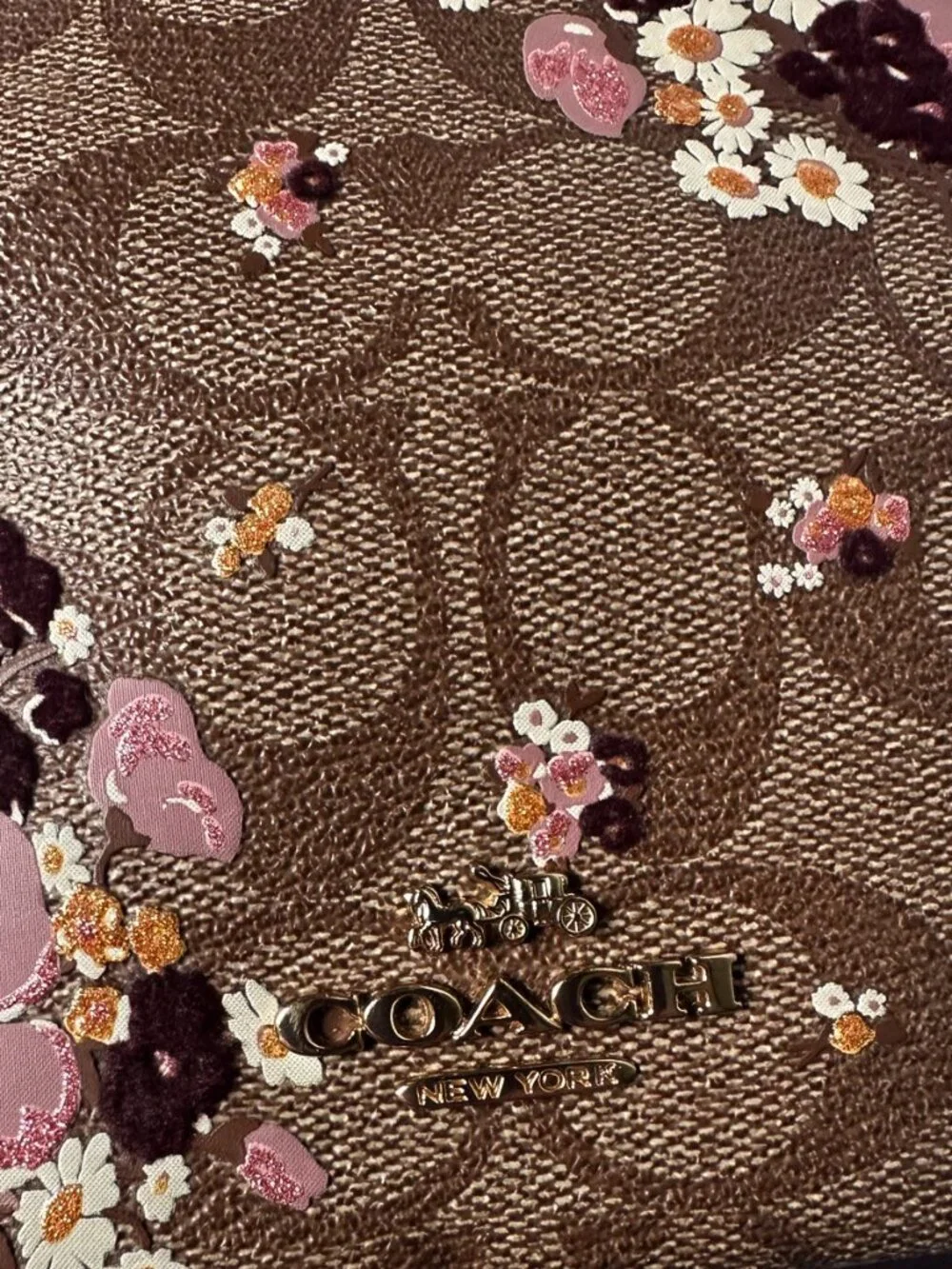Coach Isla Chain Crossbody Bag Floral Print Signature Coated Canvas F31433